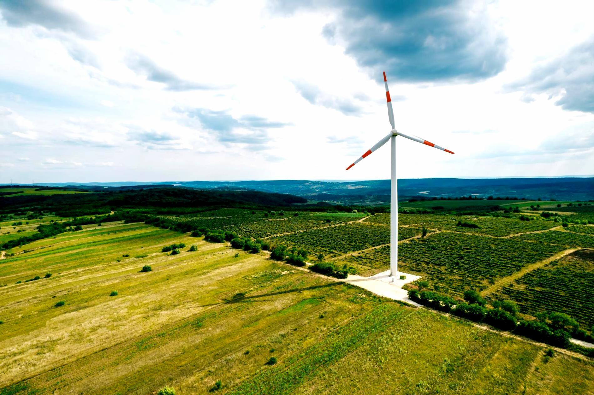 Ecosystem monitoring equipment setup in field research site