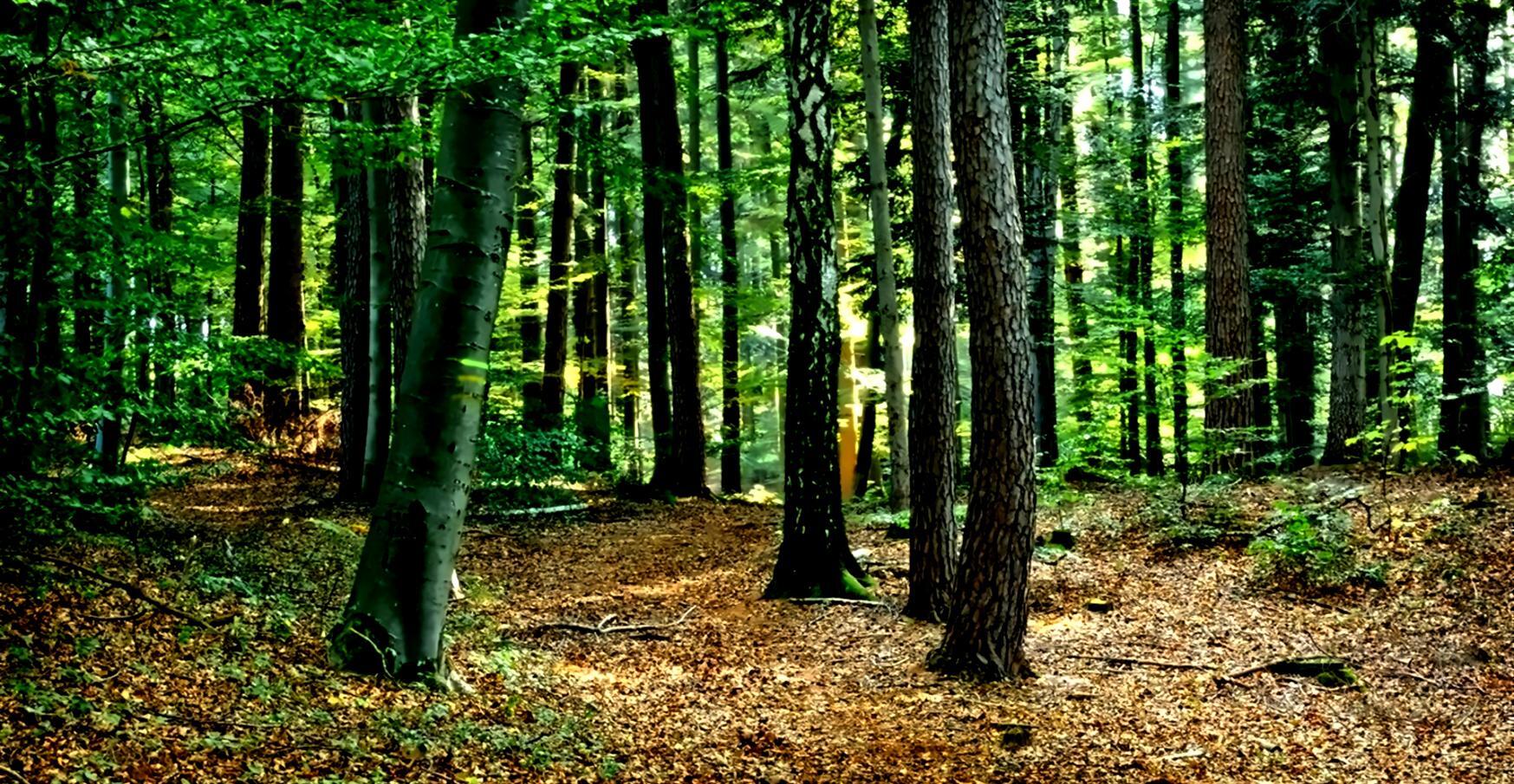 Modern agricultural technology implementation showing precision farming equipment